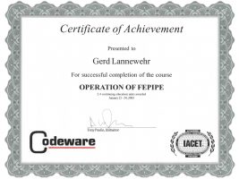 Certificate Codeware Operation of FEPIPE Gerd-Lannewehr